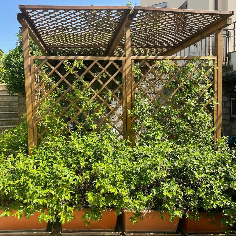 Apartament La Dolce Vita Pitigliano Zewnętrze zdjęcie